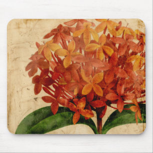Tapis De Souris III floral vibrant