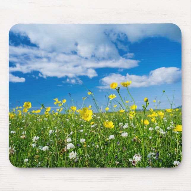 Tapis De Souris île de South Uist | Écosse (Devant)