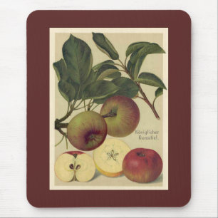 Tapis De Souris Illustration allemande vintage botanique de pommes
