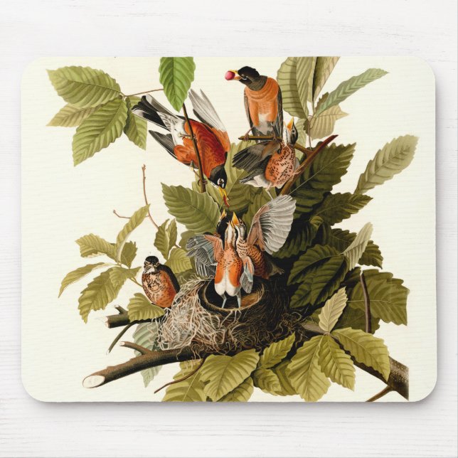 Tapis De Souris Illustration Audubon American Robin Wildlife Bird (Devant)
