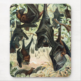 Tapis De Souris illustration de l'acadamia de chauve-souris volant