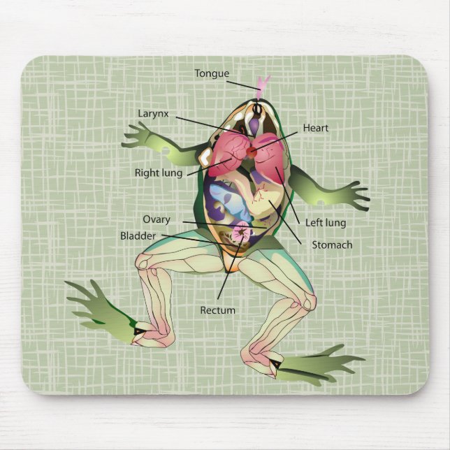 Tapis De Souris Illustration de l'anatomie de la grenouille (Devant)