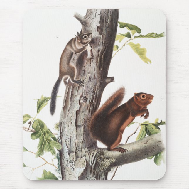 Tapis De Souris Illustration de l'écureuil et de l'écureuil de soi (Devant)