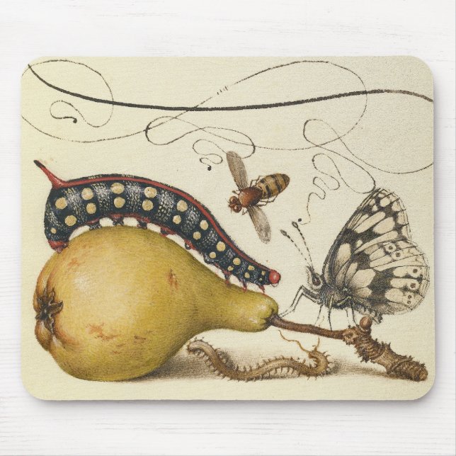 Tapis De Souris Illustration de l'insecte du fruit du papillon (Devant)