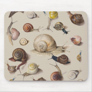 Tapis De Souris Illustration scientifique de limaces de jardin vin
