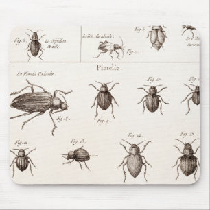 Tapis De Souris Illustration vintage de scarabées d'insectes