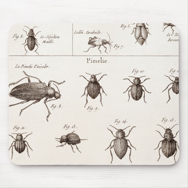 Tapis De Souris Illustration vintage de scarabées d'insectes (Devant)