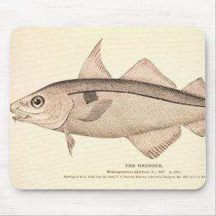 Tapis De Souris Illustration vintage des aiglefins