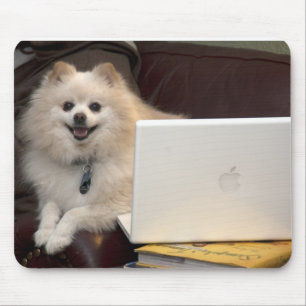 Tapis De Souris iMac Pomeranian