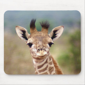 Tapis De Souris Image de girafe de bébé, Kenya, Afrique |
