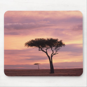 Tapis De Souris Image de la silhouette d'un arbre d'acacia au leve
