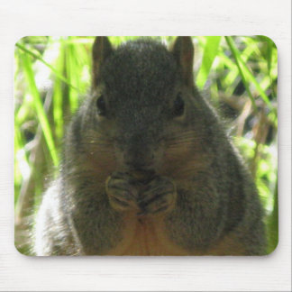 Tapis De Souris Image mignonne d'un petit écureuil mangeant un