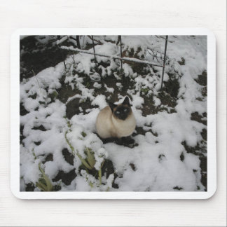 Tapis De Souris Images de neige, chat de neige