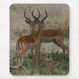 Tapis De Souris Impalas sur le Serengeti