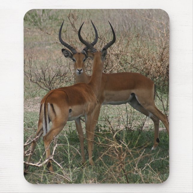 Tapis De Souris Impalas sur le Serengeti (Devant)
