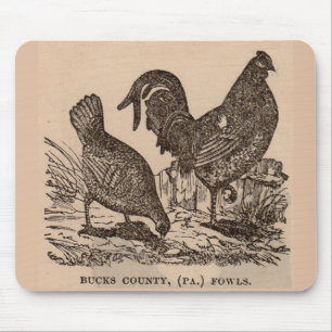 Tapis De Souris Imprimé au 19e siècle Bucks Comté poulets poulets