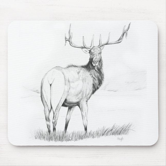 Tapis De Souris Indécision - Mousepad (Devant)