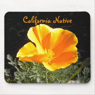 Tapis De Souris Indigène de la Californie