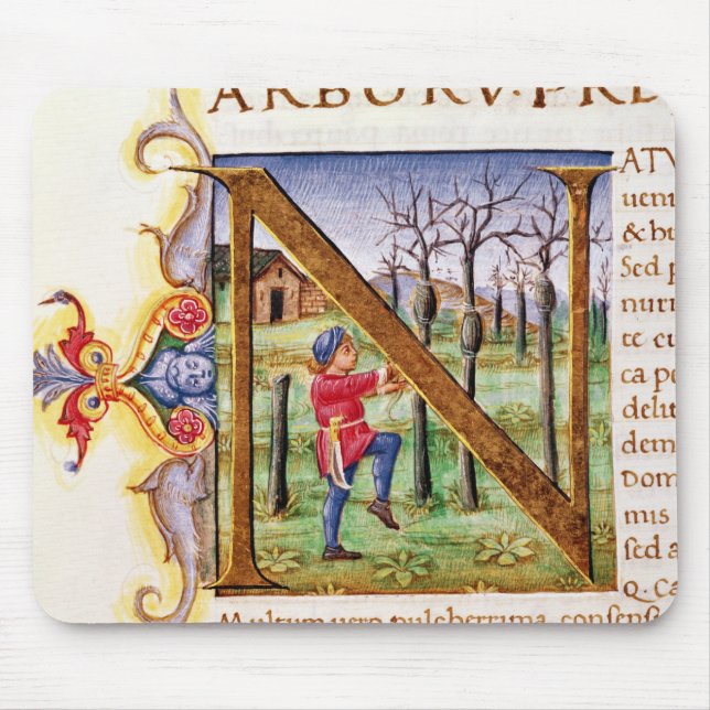 Tapis De Souris Initiale 'N de Historiated (Devant)