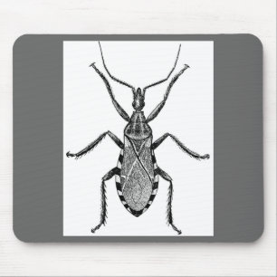 Tapis De Souris Insecte de Conenose - cru