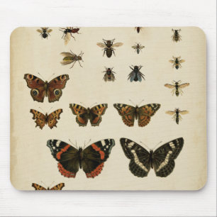 Tapis De Souris Insectes de jardin par le studio de vision