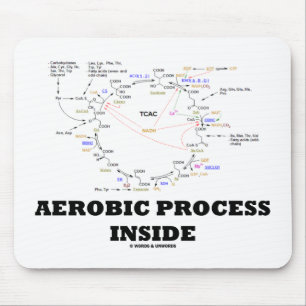 Tapis De Souris Intérieur aérobie de processus (cycle de Krebs)