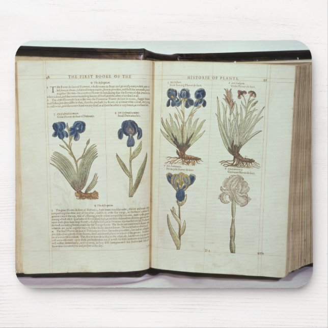 Tapis De Souris Iris (Devant)