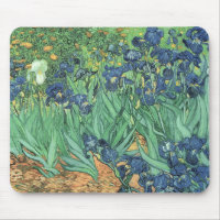 Iris de Vincent van Gogh |, 1889
