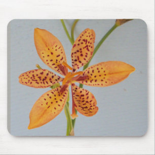 Tapis De Souris Iris tacheté d'orange appelé une  lily Blackberry