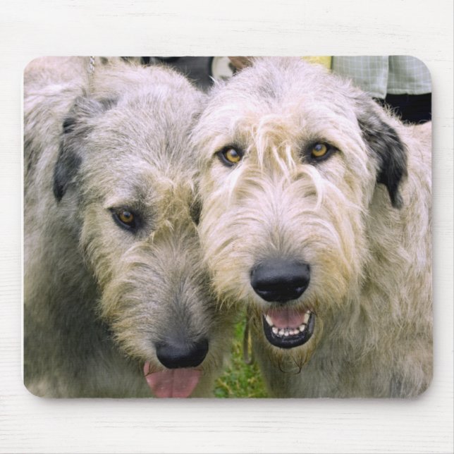Tapis De Souris Irish Wolfhound (Devant)