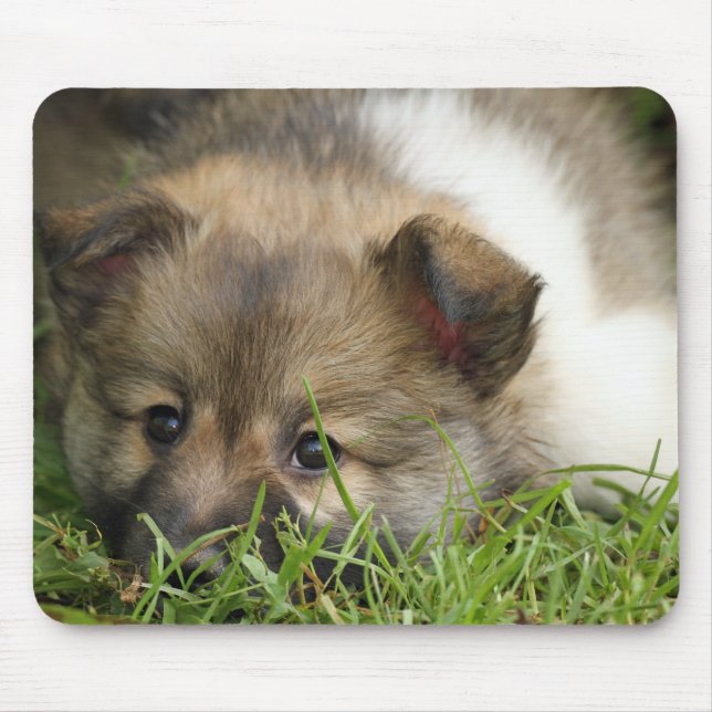 Tapis De Souris Islandhundewelpe (Devant)