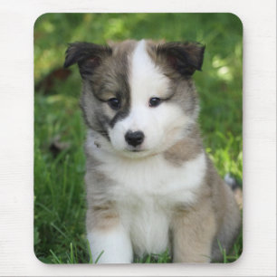 Tapis De Souris Islandhundwelpe Splitface