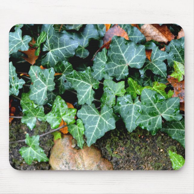 Tapis De Souris Ivy botanique vert et pierre de campagne (Devant)