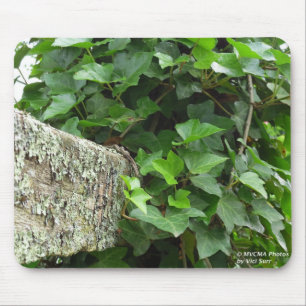 Tapis De Souris Ivy et Lichens - Martha's Vineyard