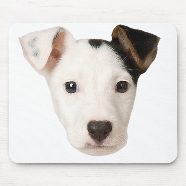 Tapis De Souris Jack Russell Terrier (Devant)