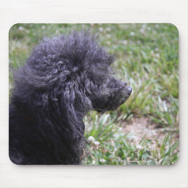 Tapis De Souris Jack T. Poodle (Devant)
