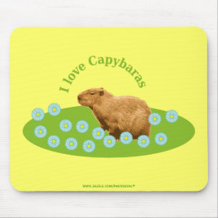 Tapis De Souris J'adore les capybaras