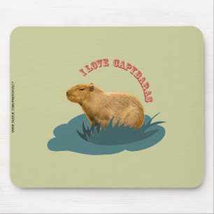 Tapis De Souris J'adore les capybaras
