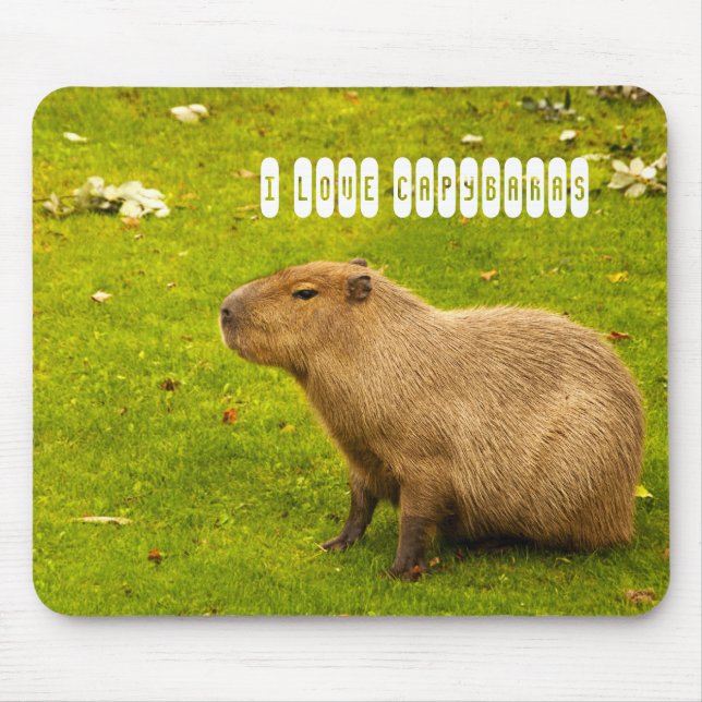 Tapis De Souris J'aime Capybaras Mousepad (Devant)
