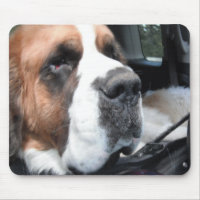 JAKE MOUSEPAD 3 DE ST BERNARD