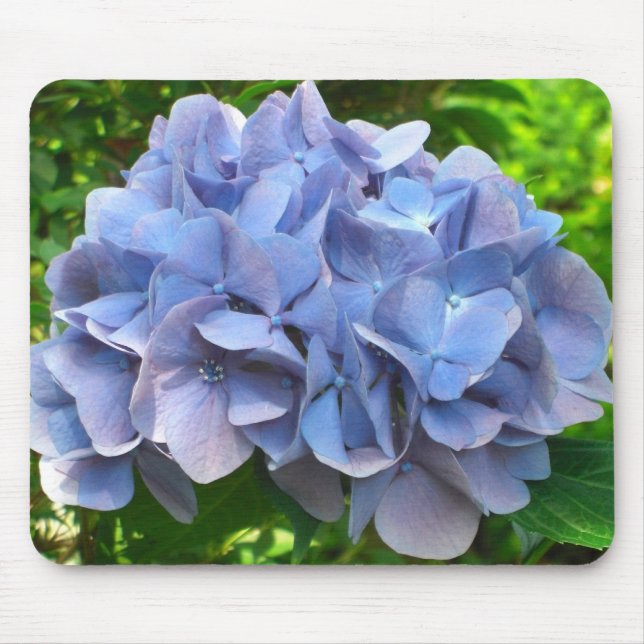 Tapis De Souris japanflower (Devant)