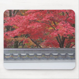 Tapis De Souris Japon, Kyoto, Autumn Color at Eikando Temple