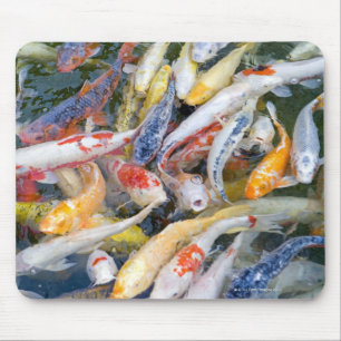 Tapis De Souris Japon, Tokyo, poisson de piscine gros