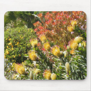 Tapis De Souris Jardin d'agrément de désert