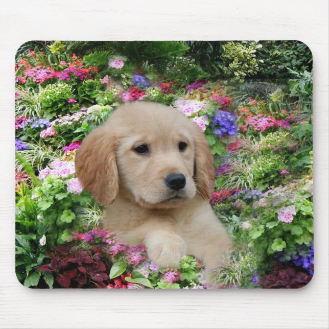 Tapis De Souris Jardin d'agrément de Mousepad de golden retriever (Devant)