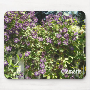 Tapis De Souris Jardin de clématites violettes