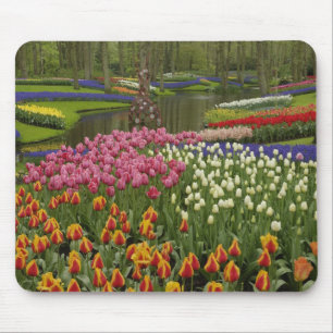 Tapis De Souris Jardin de tulipes et de jacinthes, Jardins de Keuk