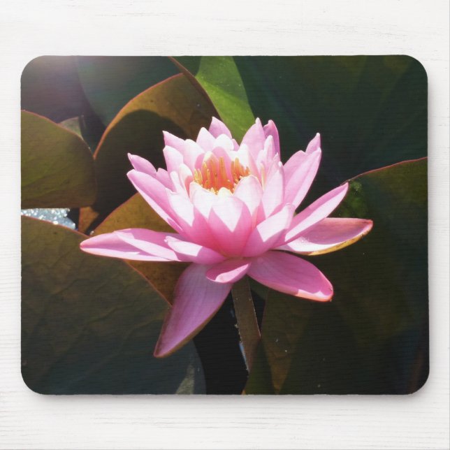 Tapis De Souris Jardin d'eau rose rose Nénuphar éclairé (Devant)