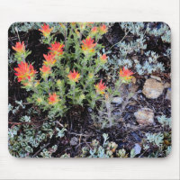 Jardin miniature au lac Gem