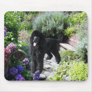 Tapis De Souris Jardin Mousepad de caniche